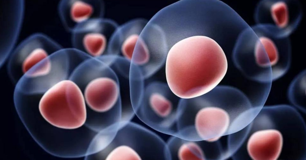 婴儿出生时，是否该储存脐带间充质干细胞？有什么用？