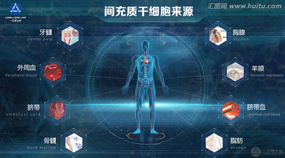 间充质干细胞一针多少钱？价格区间从数万到百万