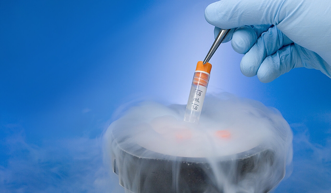 干细胞储存是智商税？还是未来生命保障的投资？