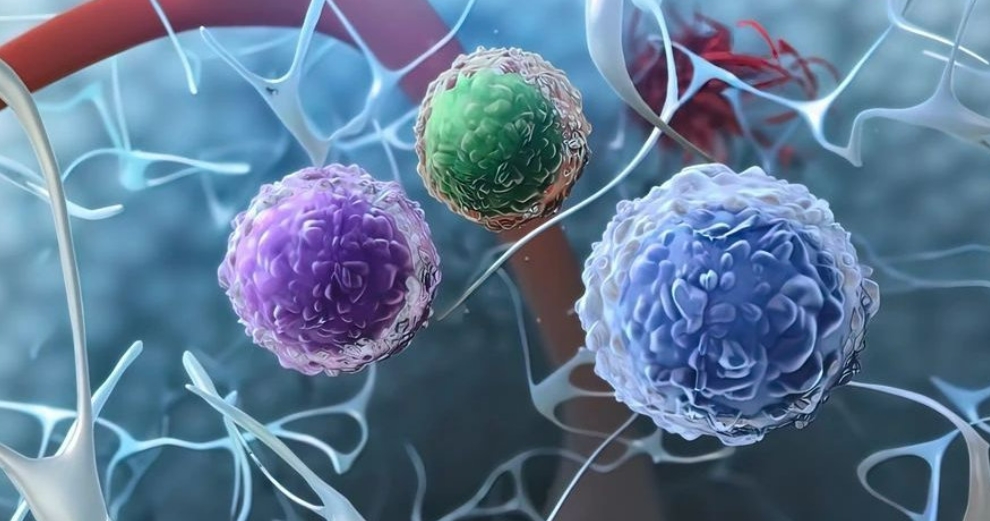 干细胞疗法的基础知识概述，什么是干细胞疗法？