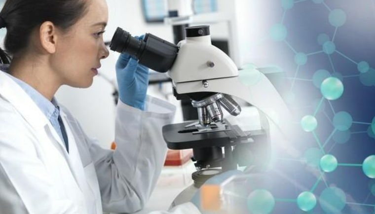 中国长寿医学产业现状分析