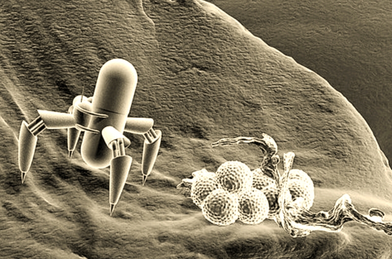 纳米时代的医学革命：纳米机器人在医学领用的应用前景分析