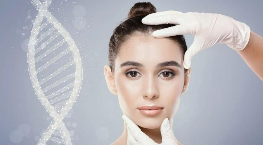 从细胞源头延缓衰老——基因修复实现抗衰老的新方向