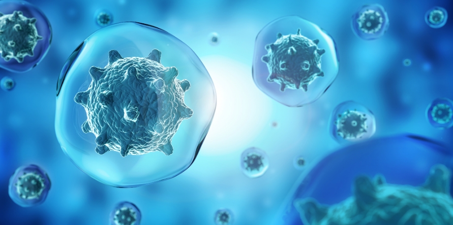 河北省哪些医院可以打干细胞？河北省批准的干细胞医院名单