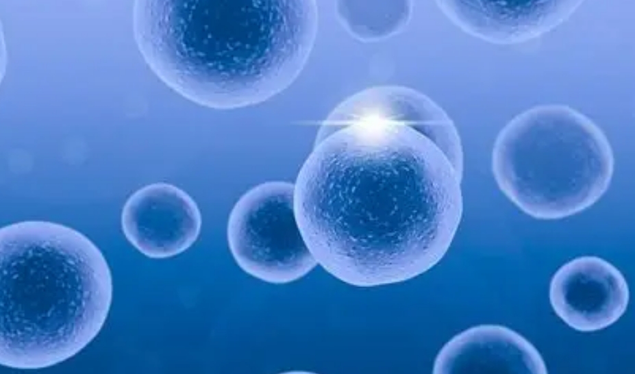 什么是间充质干细胞？细胞治疗有什么作用？