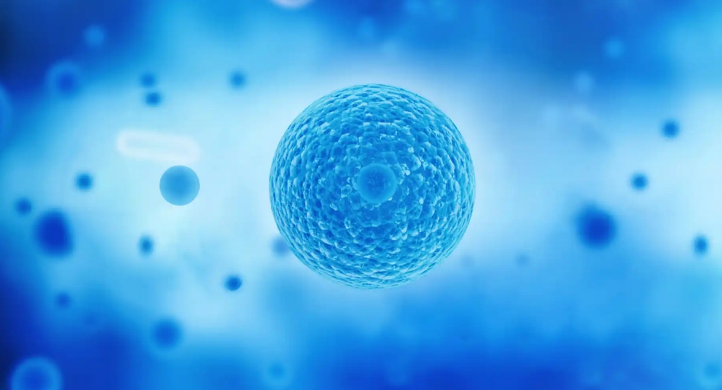 间充质干细胞一针多少钱？干细胞注射价格多少