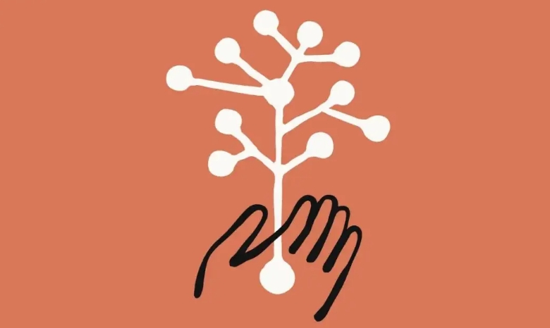 Claude生命科学版：从研究发现到成果转化的科研神器