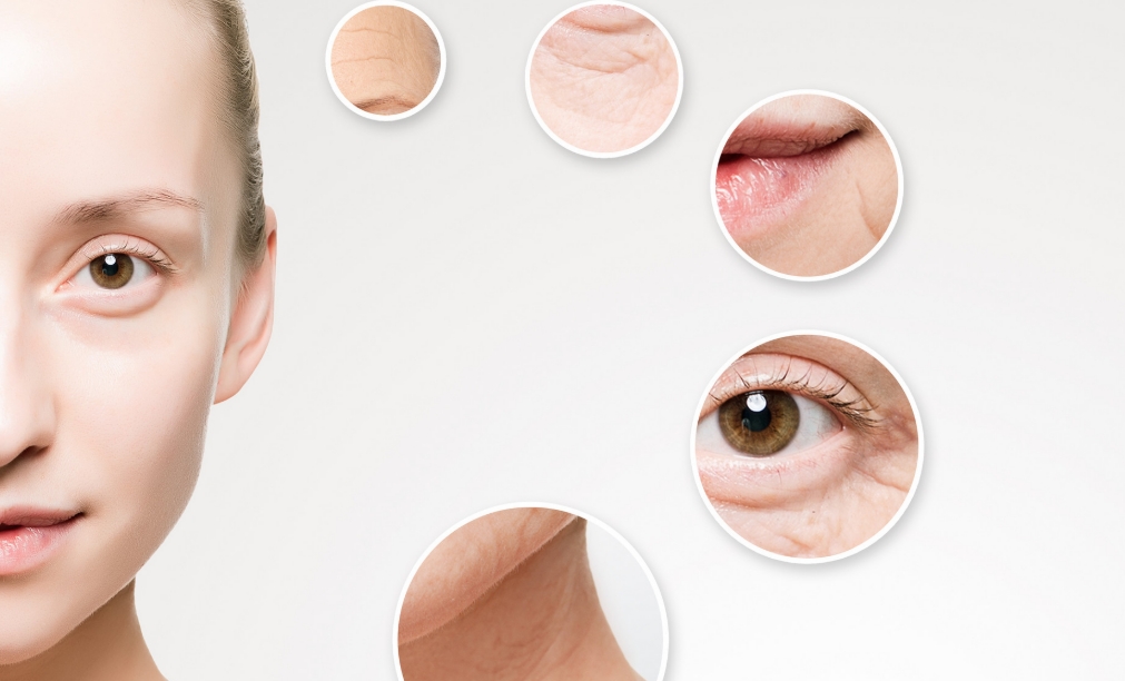 人为什么会衰老?人衰老的原因是什么？