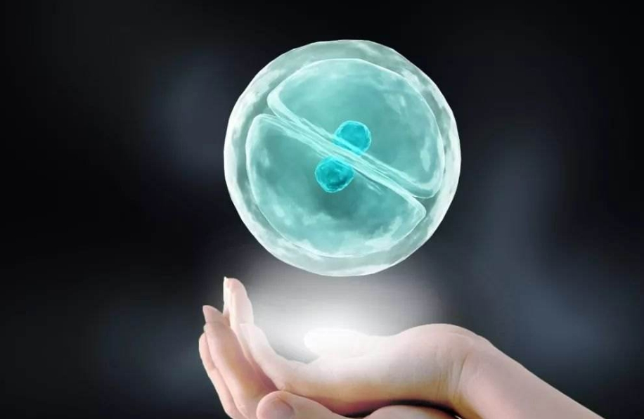 始于1968年，干细胞疗法发展历程及发展趋势