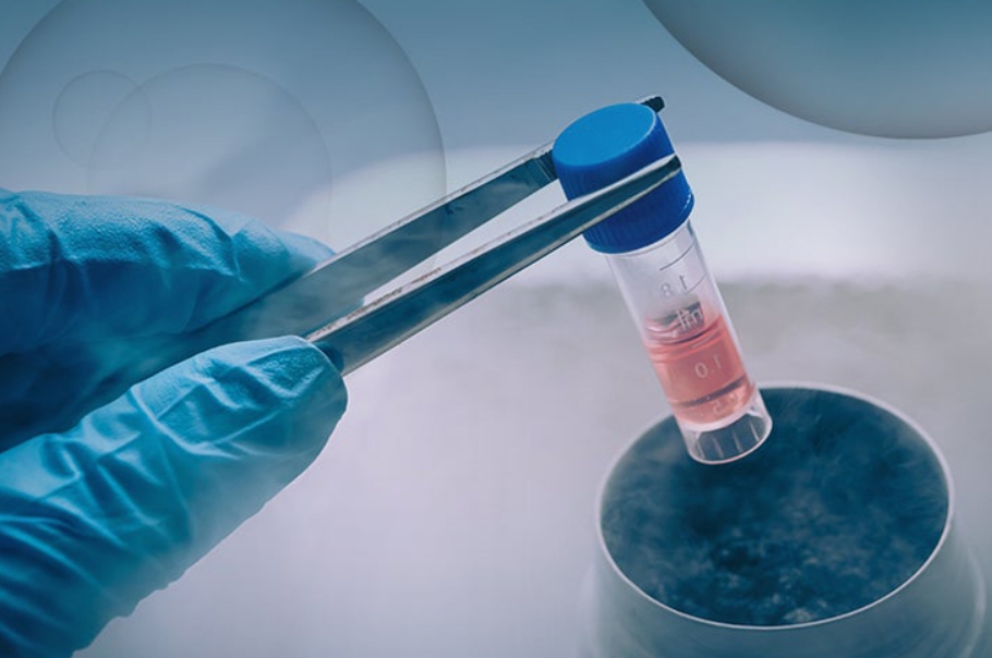 什么是生命银行？免疫细胞存储是生命银行吗？