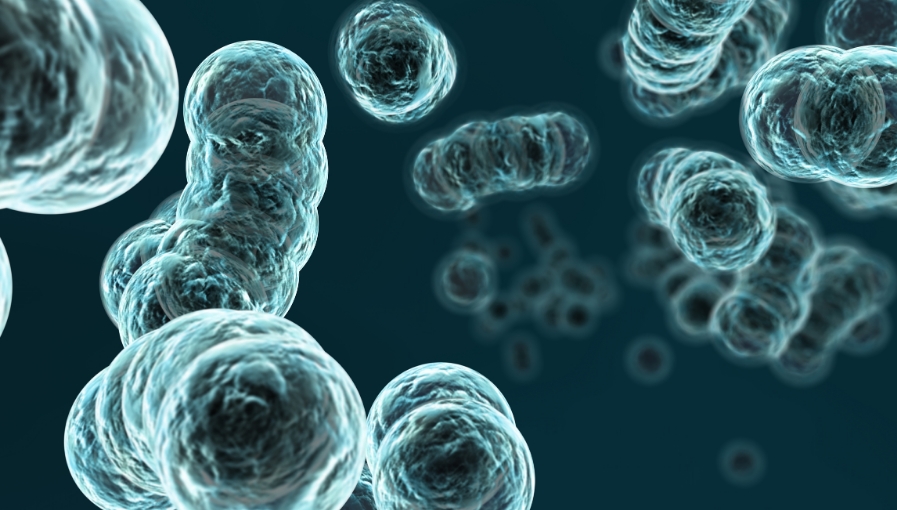 干细胞注射多少钱一针？上海干细胞医院名单