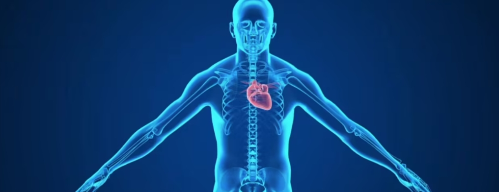 人类活到各个年龄段的概率，仅有1%的人能活到90岁？