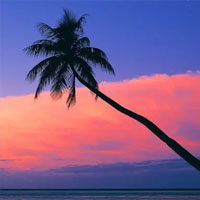 照片及生平介绍